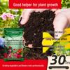 Nutrient-Rich Soil for Flowers & Vegetables - Ideal for Household Gardening