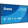 IIYAMA 43' LED