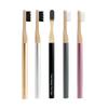 Eco-Friendly Bamboo Toothbrush with Replaceable Head, FSC & FDA Certified, Customizable Logo, Biodegradable, Multiple Colors