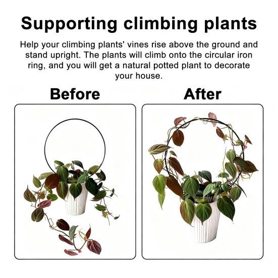 Plant Circle Trellis Climbing Plants Coated Wire Trellis Planter Insert Heart