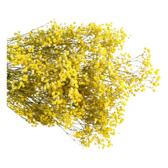 Букет из сухоцветов Yousheng Aeonium, яркие цвета, не выцветают, легко ухаживать, натуральная сушеная гипсофила, украшение ко Дню святого Валентина