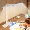 AA Grade Anti-Glare Eye Protection Desk Lamp for Students and Children