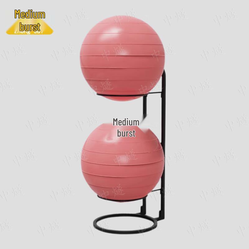 Yoga Ball and Fitness Equipment Storage Rack