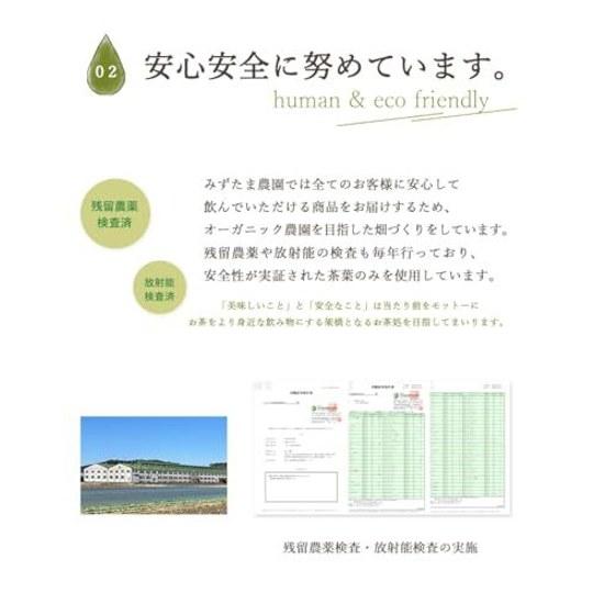 Mizutama Farm Gokugoku Refreshing Brown Rice Tea Bags 2.5g100 Packs (250g)Domestic(Domestic Japanese Pack Cold Brew Water Extraction Large Capacity