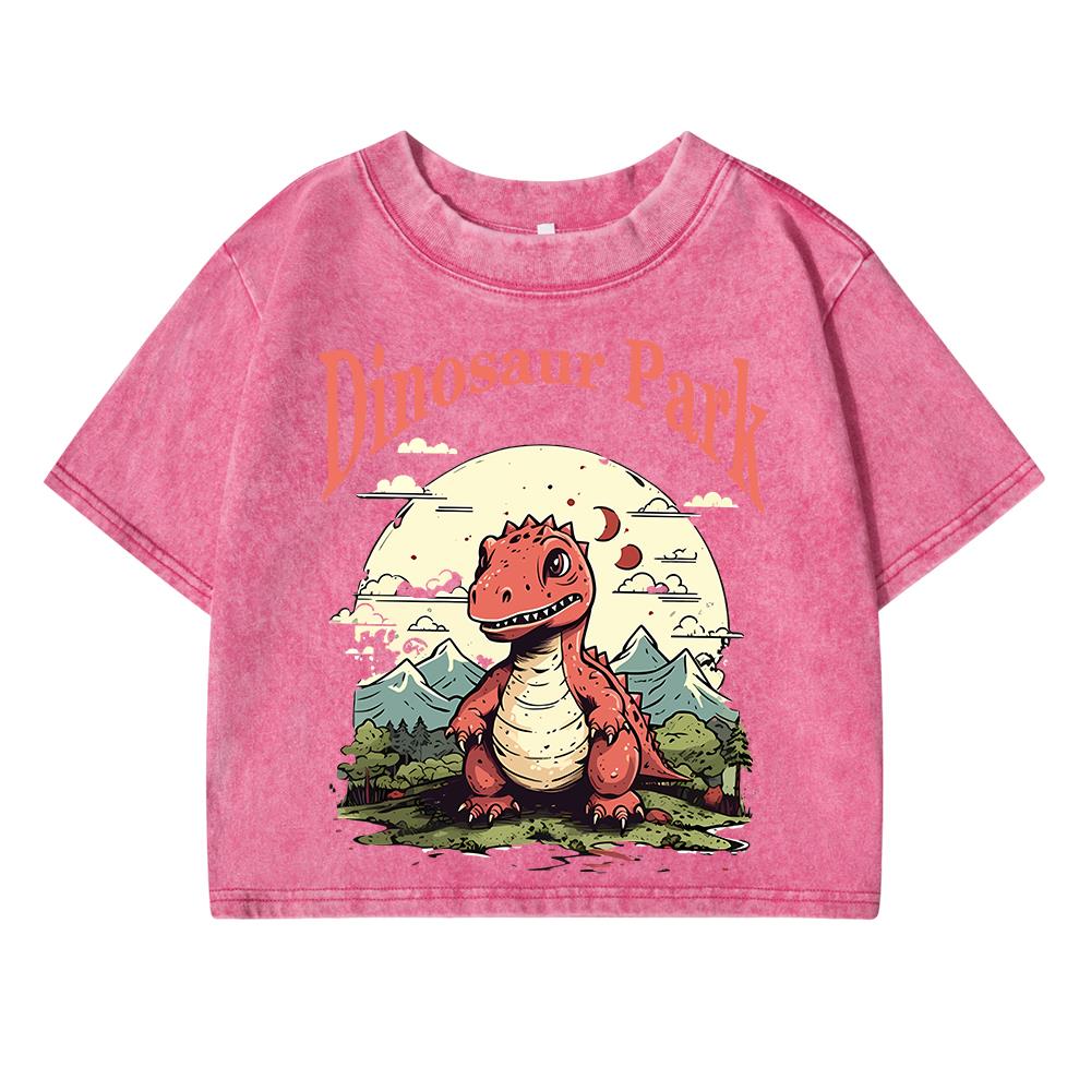 Dinosaur Park Cartoon Print Women Washed Short T Shirts Summer Fashion T Shirts Airy O-Neck Tee Shirts Soft Oversize Clothes