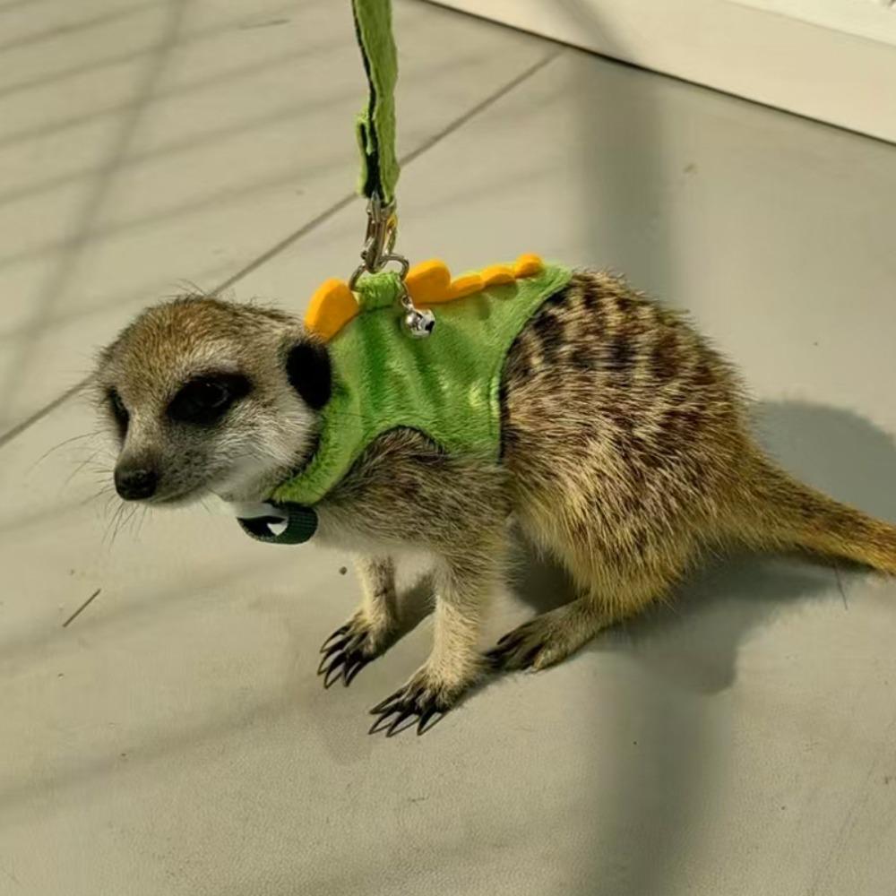 Мультяшная шлейка-жилет для хорька с дизайном дракона, жилет безопасности для морской свинки, милая шлейка на грудь для хомяка для прогулок