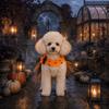 Halloween Pet Dress Dogs Cats - Spiderweb Tulle Costume Outfit Cotton Blend Princess Style XS To XL