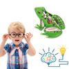4D Анатомические лягушки Форма STEM Сборка Блок Модель Обучающая Игрушка для Детей Практический Инструмент Обучения Студентов