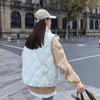 Women Autumn Winter Stand Collar Solid Color Sleeveless Button Parka Vest