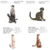 Realistic Pvc Mongoose Animal Model Toy For Kids Learning Decorations Gifts