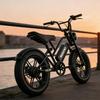 Electric Mountain Bike 250W Motor 20" Fat Tire Fully Suspended Adult Electric Bicycle 48V 18Ah Dual Disc Brakes 7 Speed Top Speed 25Km/h