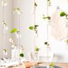 Nordic Hydroponic Container With 8 Mini Bottle Hanging Vase Wind Chimes Glass Vase 1 Strings