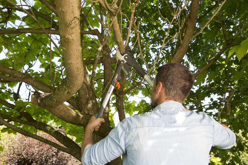 GARDENA Branch Cutting Thick Branch Cutting Cutting Diameter Anvil Ratchet Grass Branch Garden SmartCut Made In Up To 25 Years Product Up To 25 Years