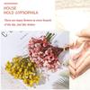 Decor Photo Props Natural Material Real Flower Mini Babysbreath Plant Stems Natural Dried Bouquets