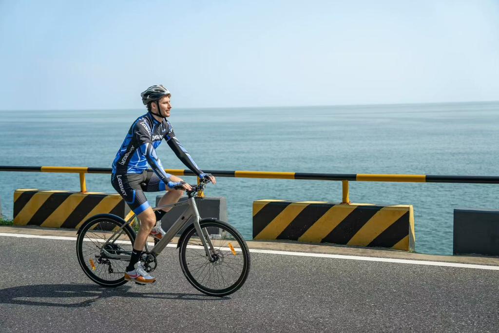 DYU Stroll 1 E-bike 250W Brushless Motor 36V9AH Battery Electric Bicycle 16Inch Tire City Electric Bike Riding assistance model, without throttle