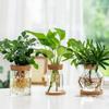 Creative Hydroponic Flower Pot Mini Terrarium Decoration Home Glass Vase