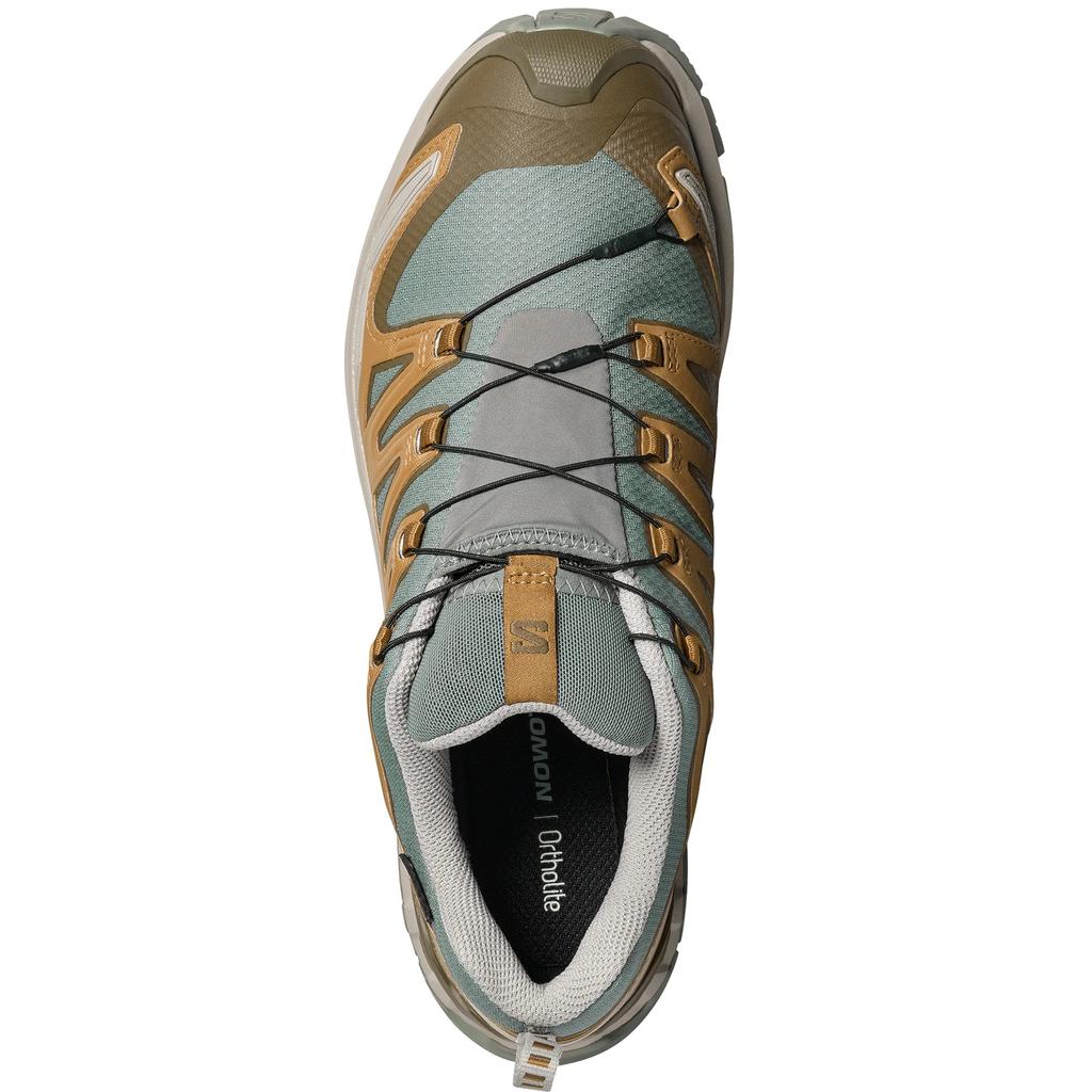SALOMON Мужские кроссовки для трейлраннинга XA Pro 3D V9 492296