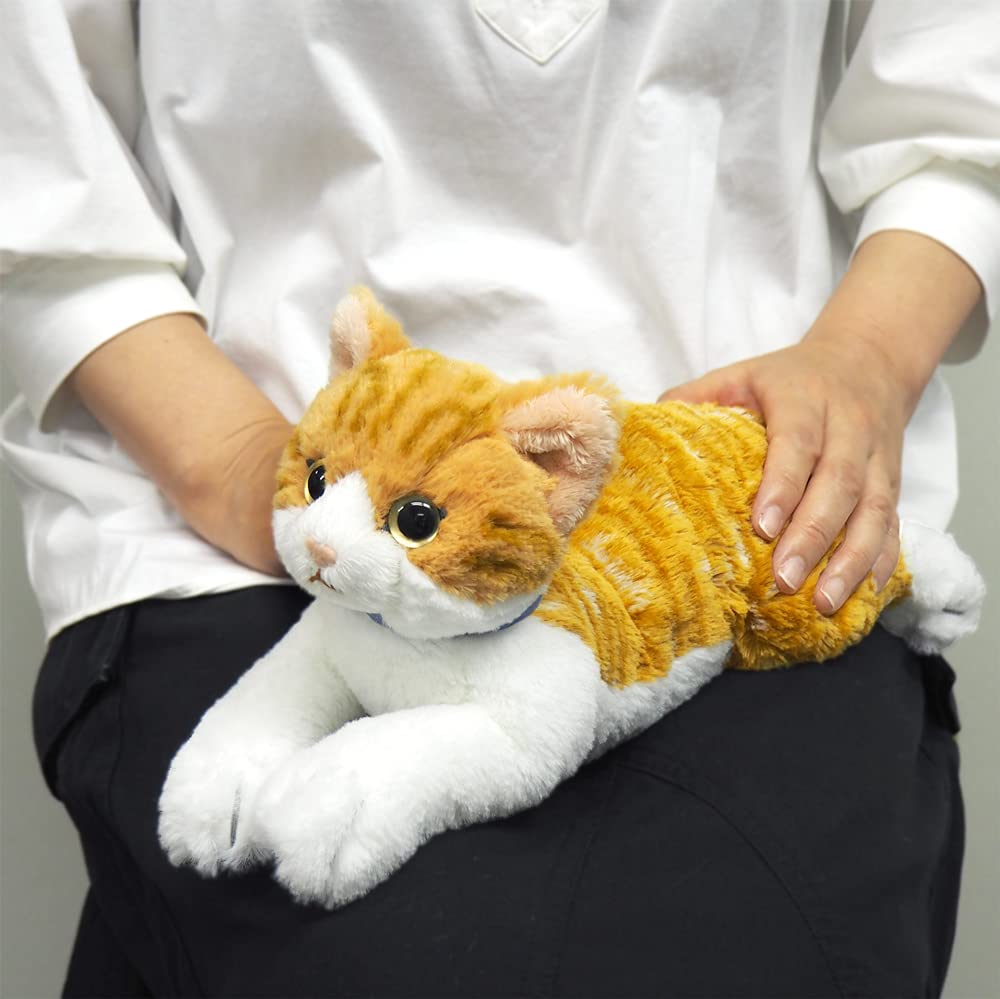 Солнечный Лимон Кот на Коленях Часиро Плюшевое Животное Маленький 13 x 36 x 15 см Милый Кот P-7822