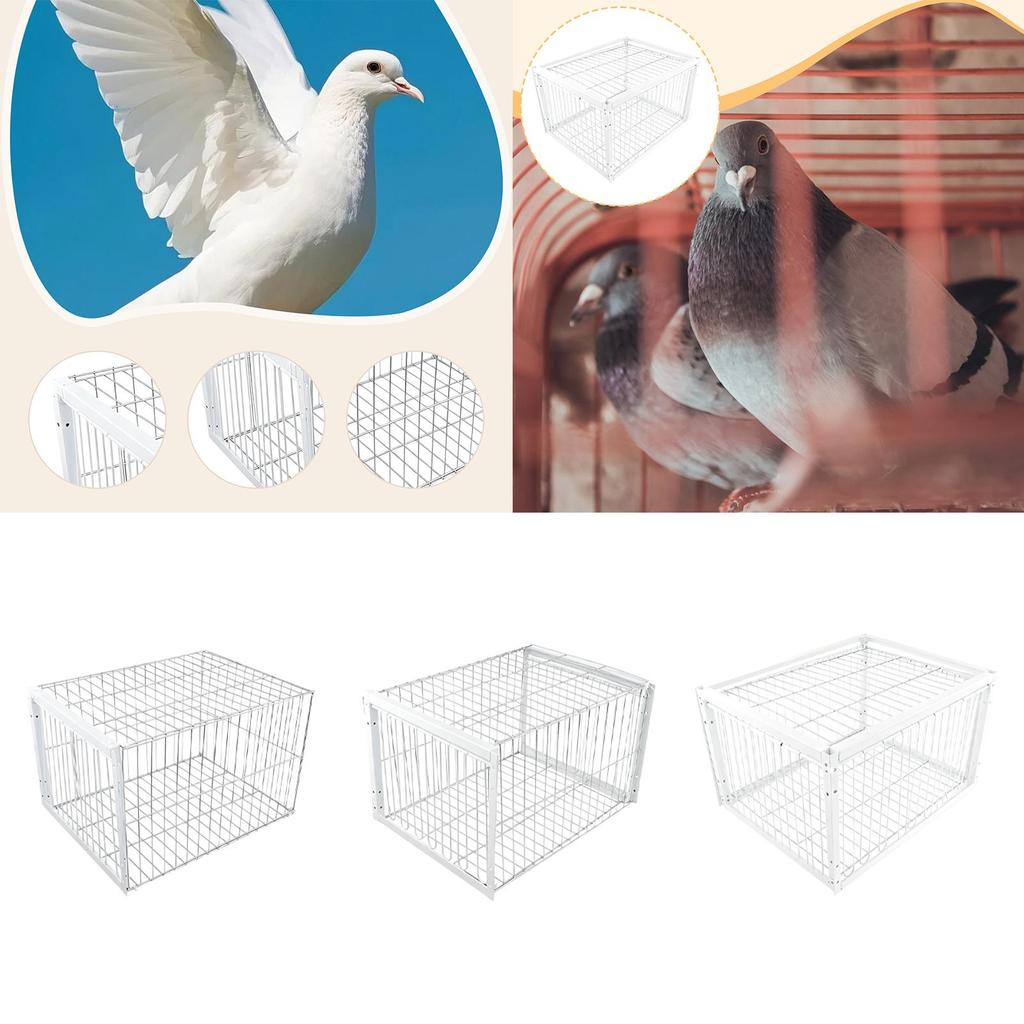 Клетка-ловушка для птиц, прочная, автоматический сборщик голубей, автоматическая ловушка для птиц для складов