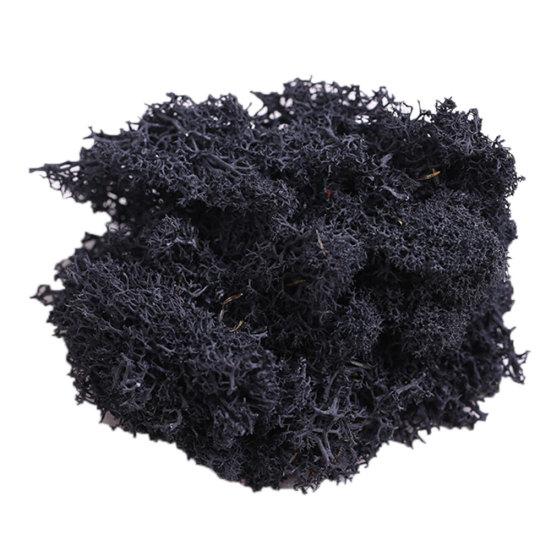 Искусственное растение консервированный цветок олений мох DIY Craft Garden Home Decor