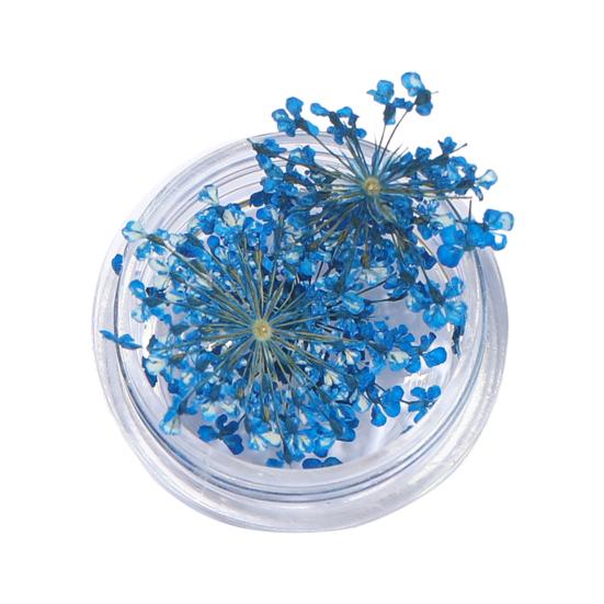 1 коробка подвески для ногтей, не выцветающие, «сделай сам», легко наносятся, изысканные красочные натуральные цветы, художественное украшение для маникюрного магазина