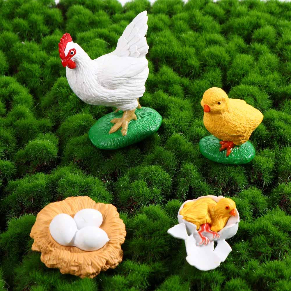 Cycle Plastic Models Life Cycle Figurine Simulation Animals Action Figures Growth Cycle Model