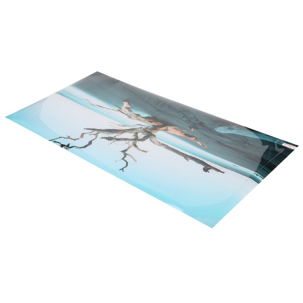 Декор фона для аквариума   Засохшее дерево 3D ПВХ Самоклеящиеся Рыбы   Обои для аквариума