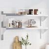 VidaXL Wall Shelf 2 Levels 100x23.5x60cm Silver Stainless Steel, Floating Shelf, Wall Display Shelf, 30311