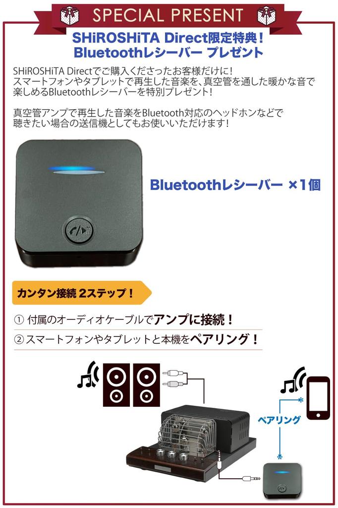 SOUNDWARRIOR Made In Japan Vacuum Tube Amplifier Headphone Amplifier Analog Audio Integrated SWL-T20-SD