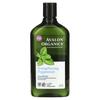 Shampoo, Strengthening, Peppermint, 11 Fl Oz (325 Ml)