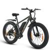 SPATIAL Parrot Мужской Внедорожный Электровелосипед 250 Вт Мотор 48В13Ач Аккумулятор Велосипед для Катания на Открытом Воздухе 26 Дюймов Внедорожный Электро-Горный Велосипед