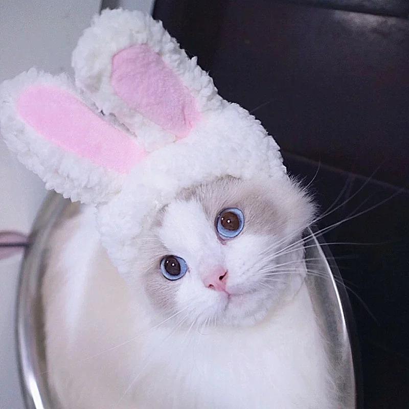Cat Accessories Hood Cute Rabbit Costume Hat Cat Headdress Show Props Funny Pet Hat Rabbit Ears