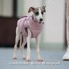 Autumn Winter Pet Clothes Outdoor Dog Jacket with Harness for Small Medium Dogs Thick Warm Pet Cotton-Padded Clothing