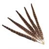 10pcs Natural Female Pheasant Tail Feathers For Crafts Diy Plumes Jewelry Making Wedding Decorations Partys Decor Plumas 23 -30cm