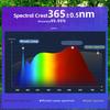 Handheld LED Wood's Lamp Skin Detector - Professional, Rechargeable, and Certified for Household Use