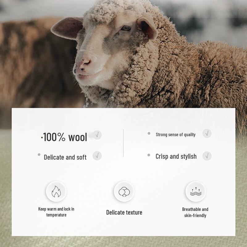 Мужской пуловер Caizi из 100% шерсти