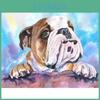 Mosaic Full Diamond 5d Round Painting English Bulldog Diy Diamond Embroidery