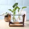 Hydroponic Plant Vases Glass Vase Vintage Bonsai Flower Pot Terrarium Tabletop Tray Wooden Frame Home Decor