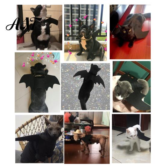 Pet Photo Prop Costume Cat Bat Wings, Halloween Costume, Puppy Cosplay Outfit, Lightweight Wings Cute for Cats Dogs Party Dress Up Accessory