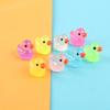 5Pcs Luminous Duckling Microlandscape Succulent Plant Diy Decorative