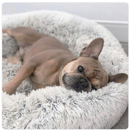 Dog bed, fluffy, soft, plush, pillow, 60 cm