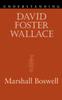 Книга Understanding David Foster Wallace