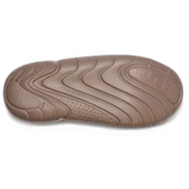 UGG La Cloud Trainer Driftwood Women's 1136818-DRI