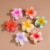 Bohemian Styling Hairpins Shark Clip Barrettes Colorful Hair Claw  Women