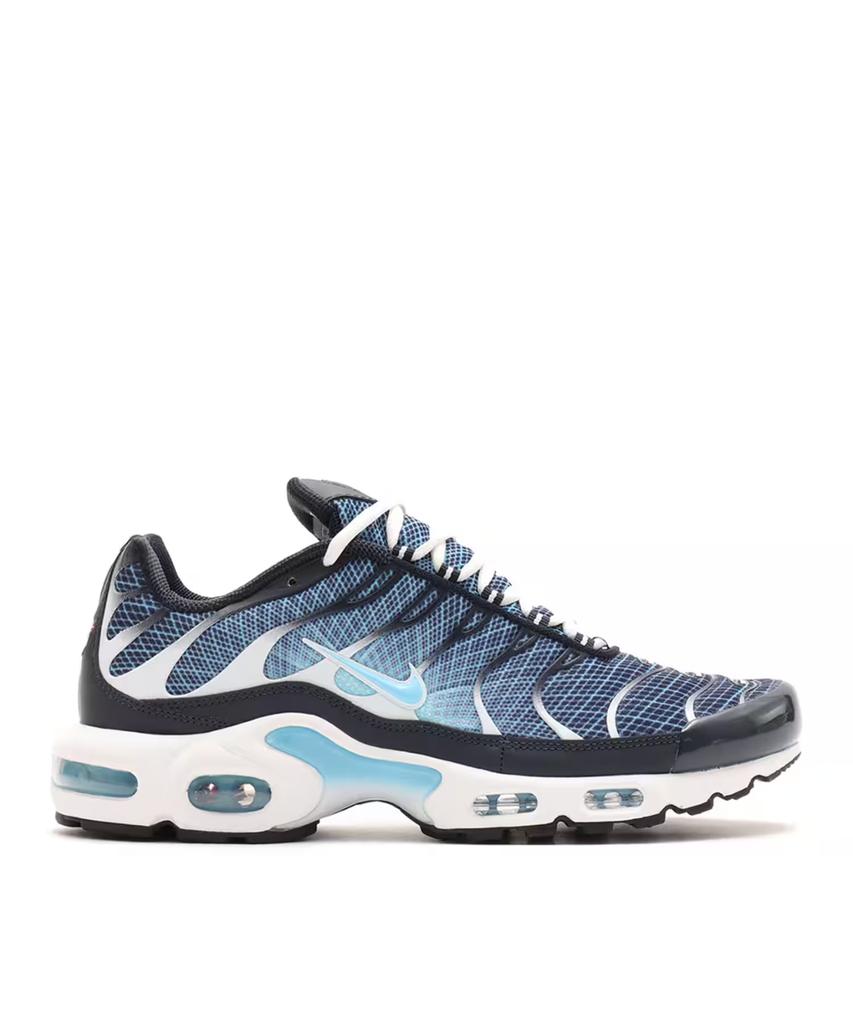 IH4460-400 Nike Air Max Plus Темно-синий с синим оттенком (Мужской)