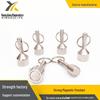 Stainless Steel Neodymium Magnet Keychain: Durable Magnetic Pendant & Enhanced Buckle Device