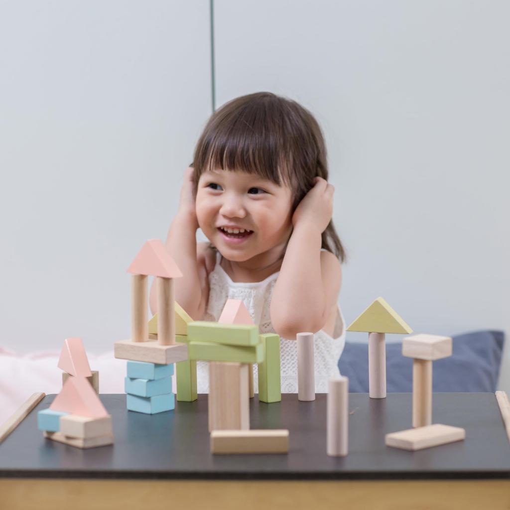 PlanToys Модульные кубики 40 Пастель 5507