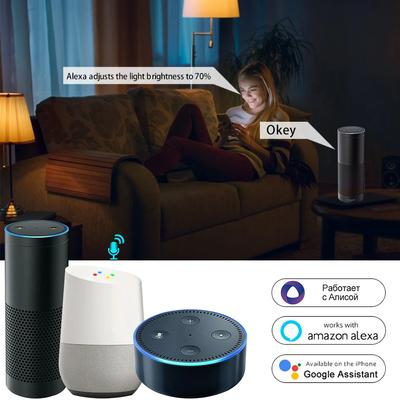 Светодиодные лампы Wi-Fi Tuya Smart Lamp E14 220V Led Candle Light Smart Life Alexa Google Alice Голосовое управление Бытовая техника с регулировкой яркости