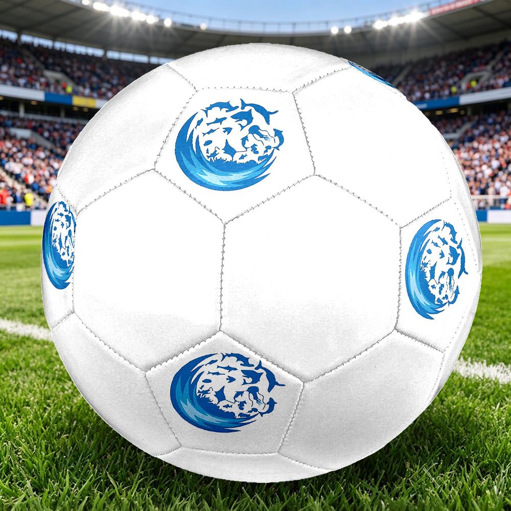 1PC Ocean Life Globe Soccer Ball Size 5 Football Machine Sewn Indoor/Outdoor Universal Football W108