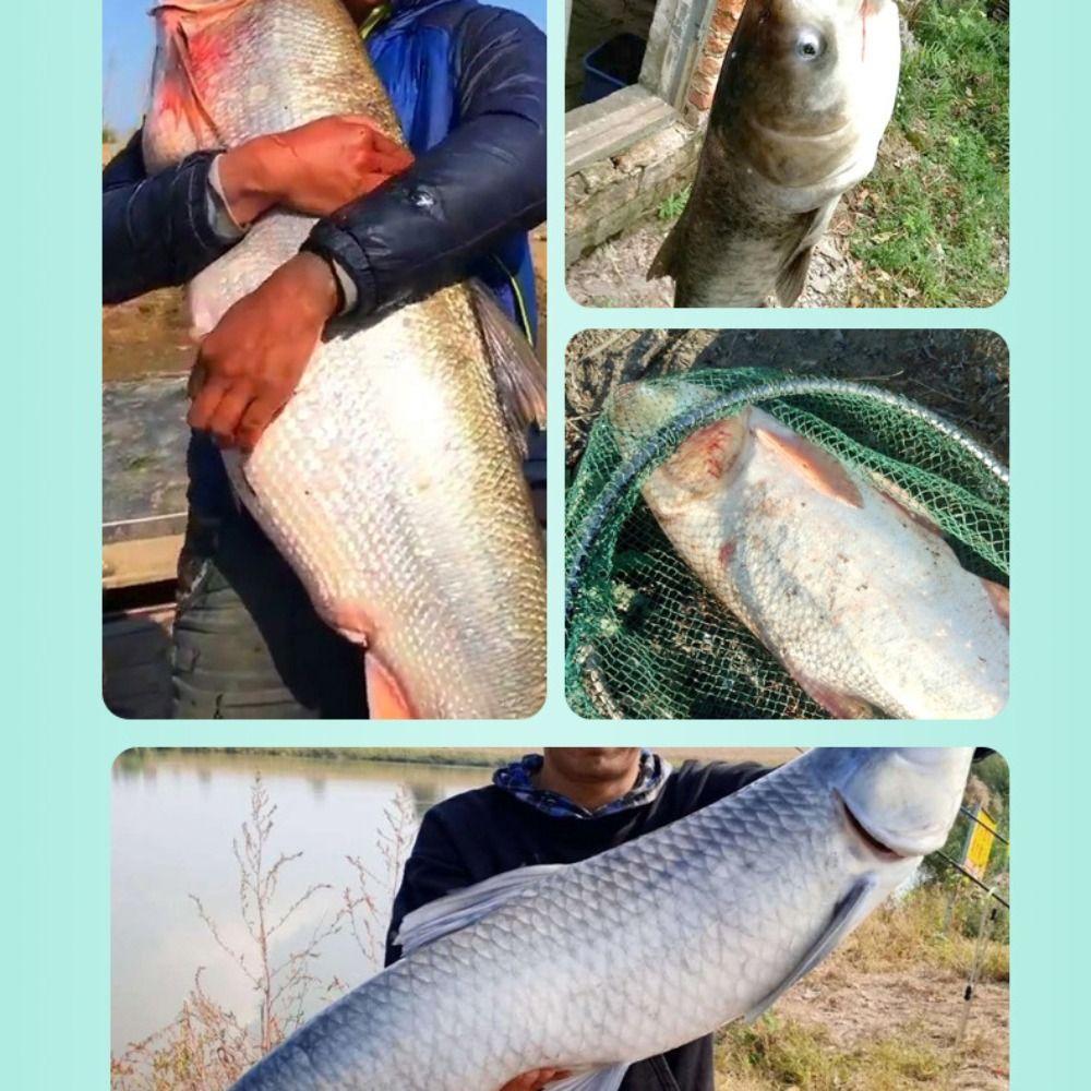 Indicator Light Float Nano Rock Fishing Floats New Electronic Fishing Float Fishing Night Fishing